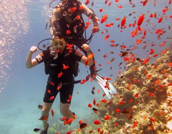 Tiran Island Snorkeling 5