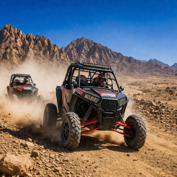 Private Morning Buggy Safari Marsa Alam – 3 Hours