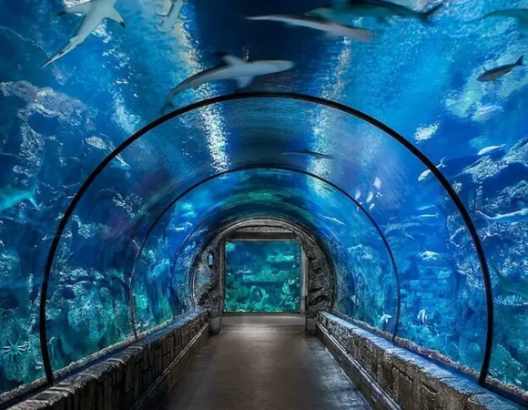 Aquarium Hurghada price