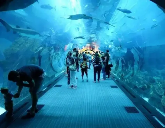 Aquarium in Hurghada