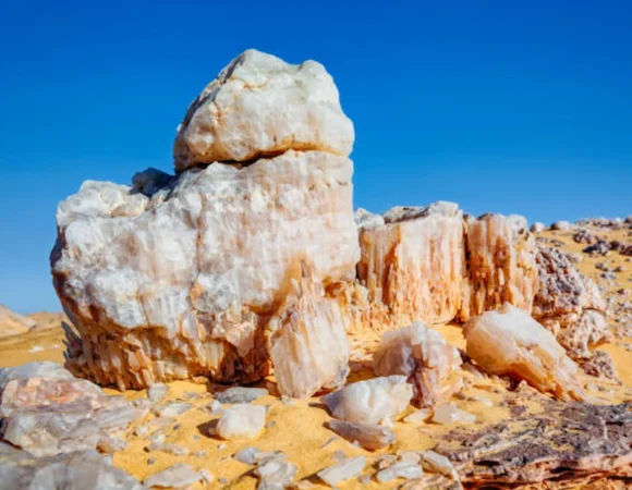 Bahariya Oasis tour 3