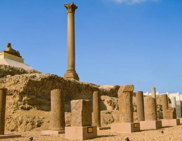 Cairo and Alexandria trip