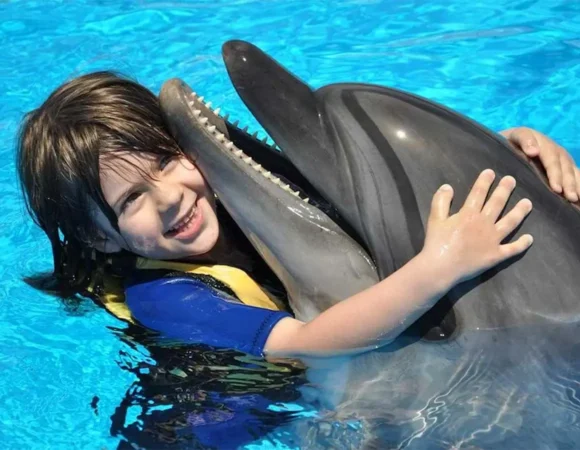 Dolphin Show Hurghada: Interactive Marine Performance & Hotel Transfers