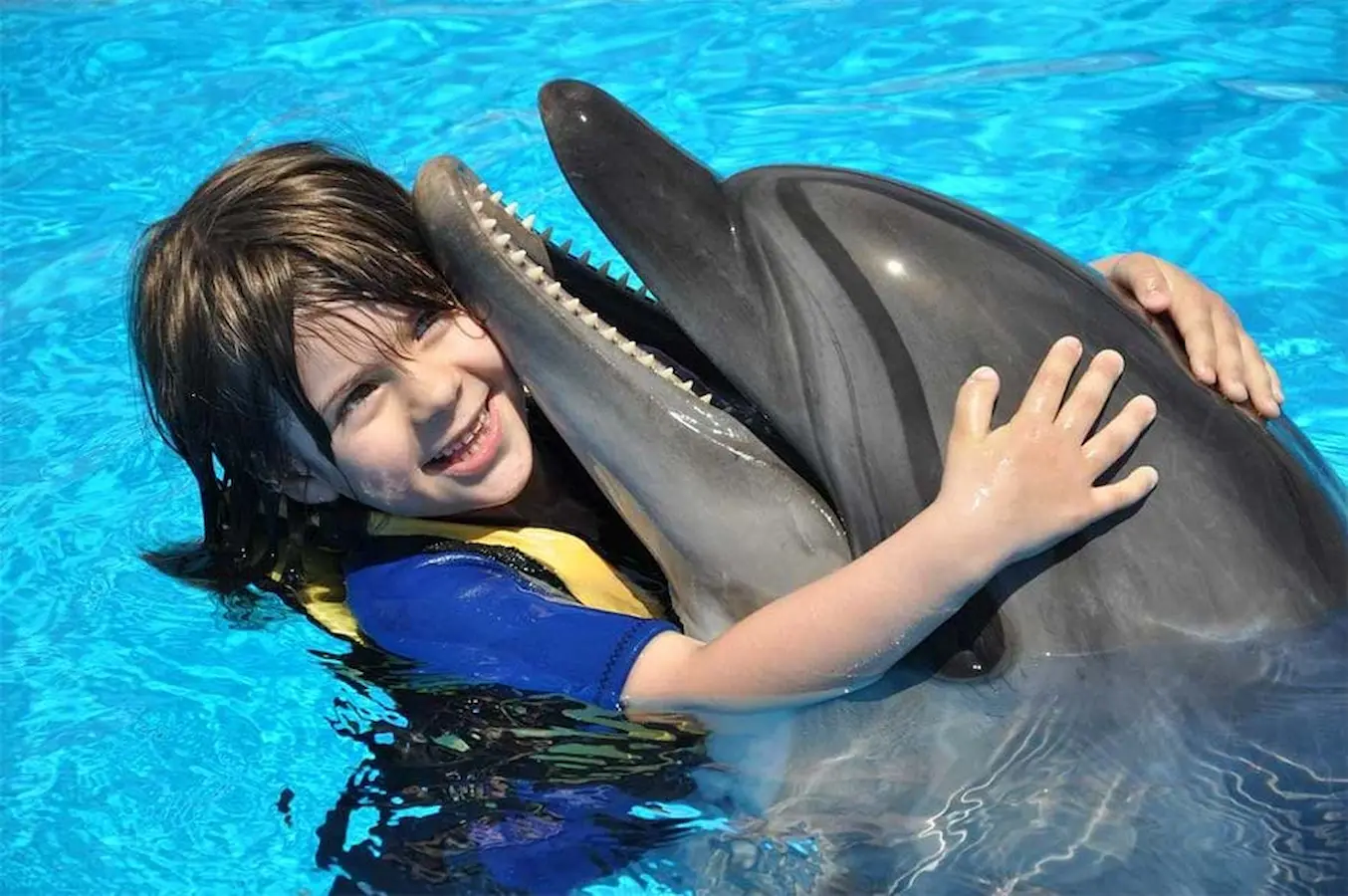 Dolphin Show Hurghada: Interactive Marine Performance & Hotel Transfers