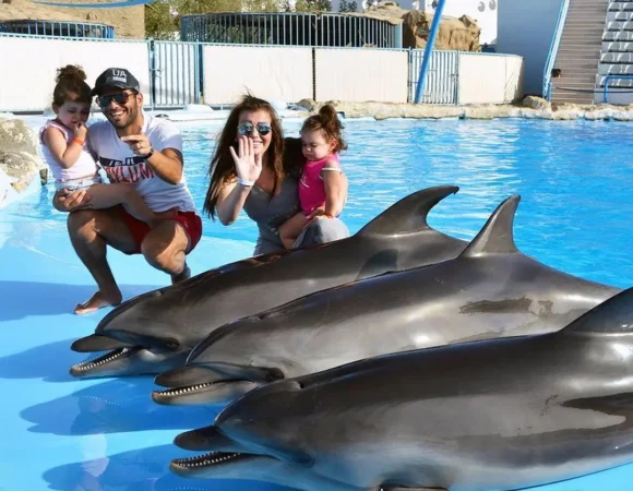 Dolphin World Hurghada Egypt
