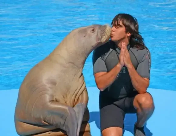 Dolphin World in Hurghada Egypt