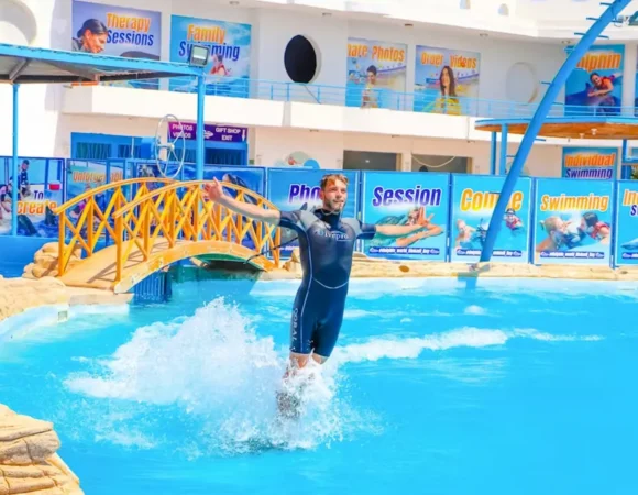 Dolphin show Hurghada