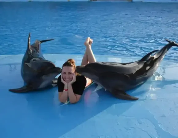 Dolphin show in Hurghada Egypt