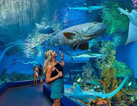 Grand Aquarium Hurghada Egypt