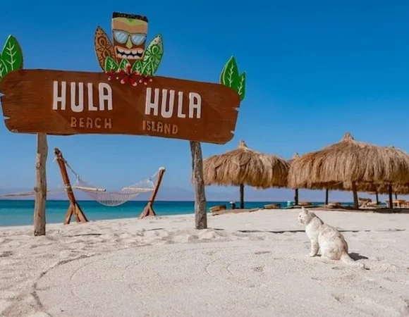 Hula Hula hurghada Egypt