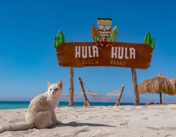 Hula Hula island