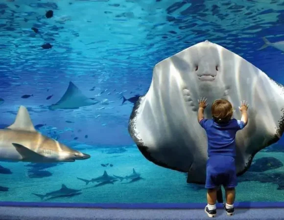 Hurghada Grand Aquarium egypt