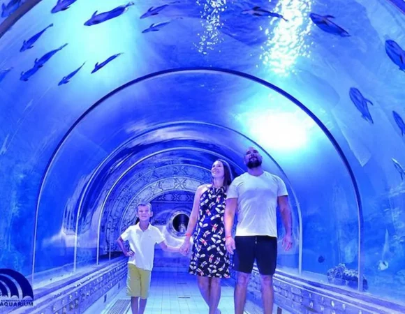 Grand Aquarium Hurghada: Skip-the-Line Entry & Shark Tunnel Experience