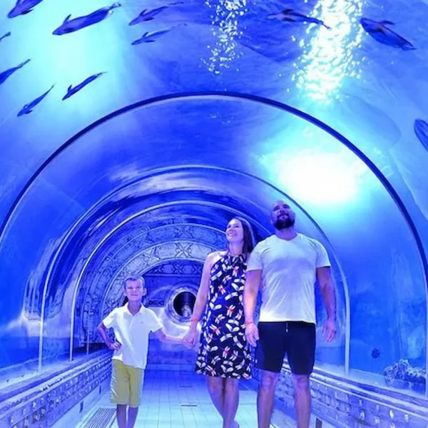 Grand Aquarium Hurghada: Skip-the-Line Entry & Shark Tunnel Experience
