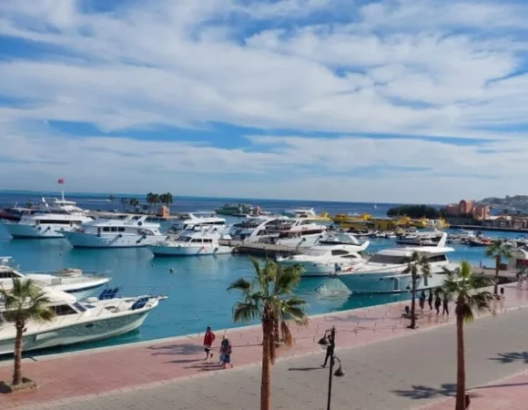 Private City Tour Trip