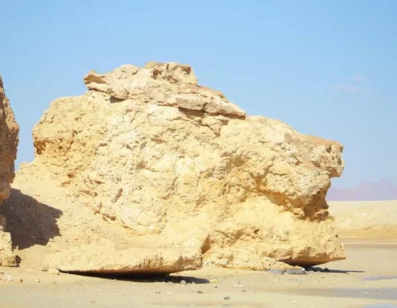 Ras Mohammed Sharm el Sheikh 3