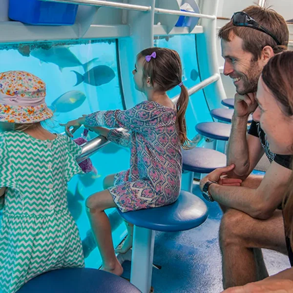 Semi Submarine Hurghada & Private City Sightseeing Tour with Transfer