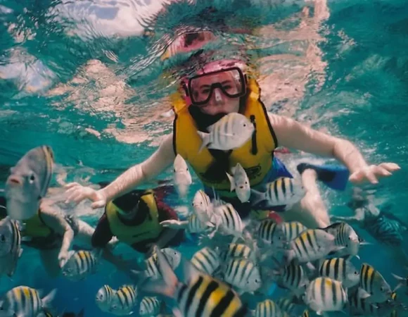 Sharm El Naga Snorkeling Day Trip: Beach-Entry Reefs & Sunken Ship