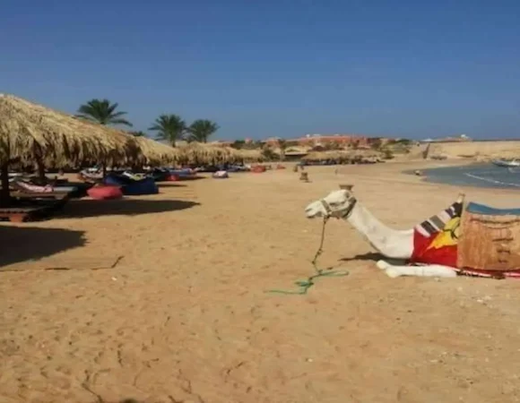 Sharm el Naga snorkeling Hurghada Egypt