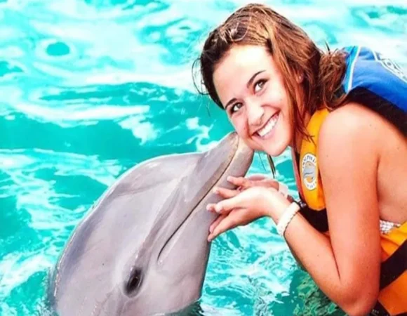 Swimming with Dolphins 5