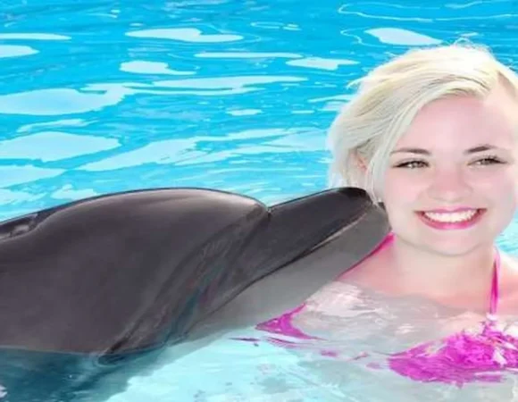 Swimming with Dolphins 6