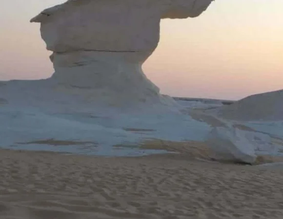 White Desert Tour Egypt & Bahariya Oasis - 2 Day 1 Night Tour