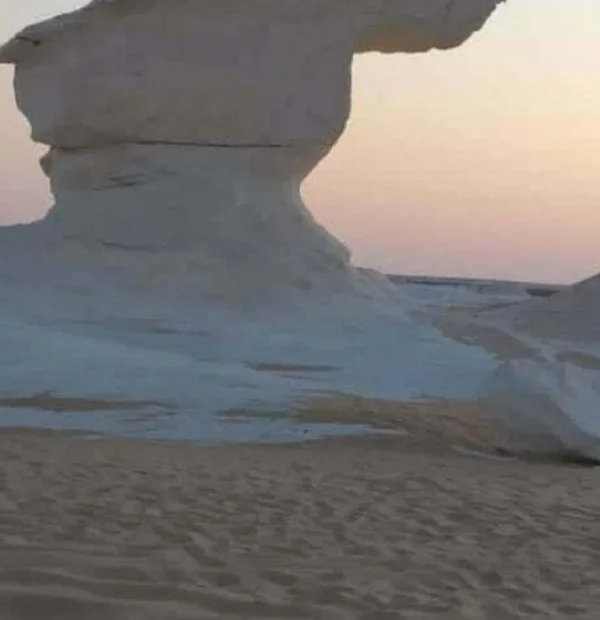 White Desert Tour Egypt & Bahariya Oasis - 2 Day 1 Night Tour