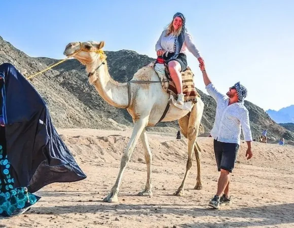 camel ride Hurghada