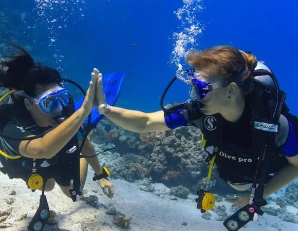 diving in Hurghada