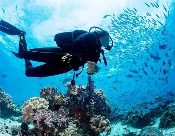 diving in Hurghada Egypt