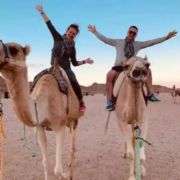 Super Safari Marsa Alam - Quad, Jeep, Camel Ride, Dinner & Show